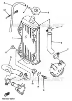 RADIATEUR / DURITES pour Yamaha YZ 1998