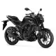 250 2024 MT MTN250-A