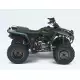 350 1999 WOLVERINE YFM350FW-X