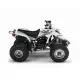 200 2007 BLASTER YFS200 BLASTER